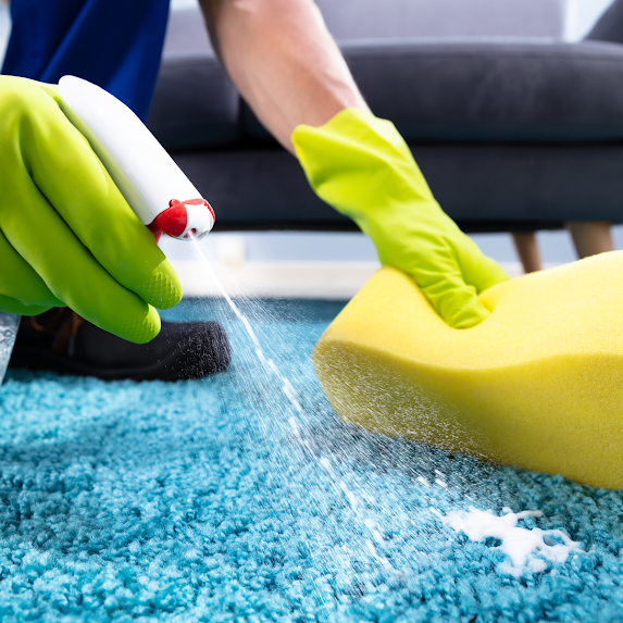 Pet stain removal, carpet cleaning Cape Town