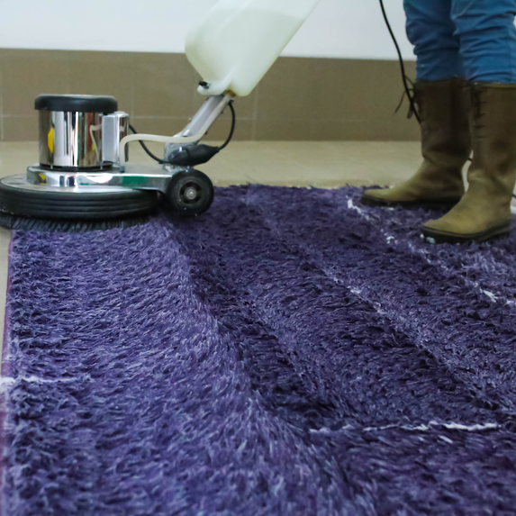 Deep Carpet Cleaning in Cape Town.
