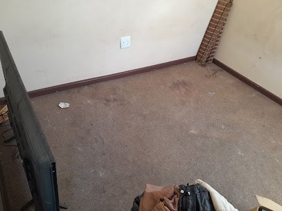 Carpet cleaning before photo