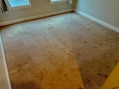 Carpet cleaning before photo